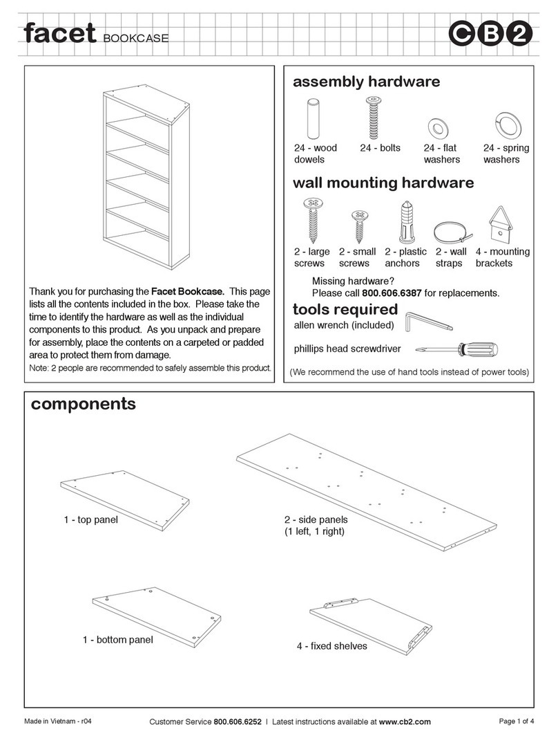 CB2 FACET User manual