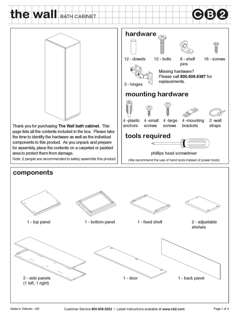CB2 THE WALL User manual