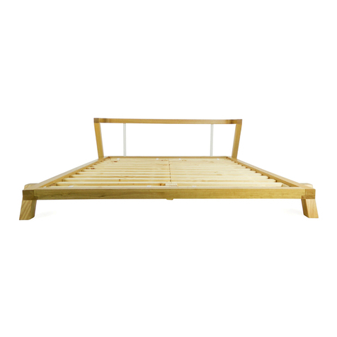 CB2 SIESTA User manual