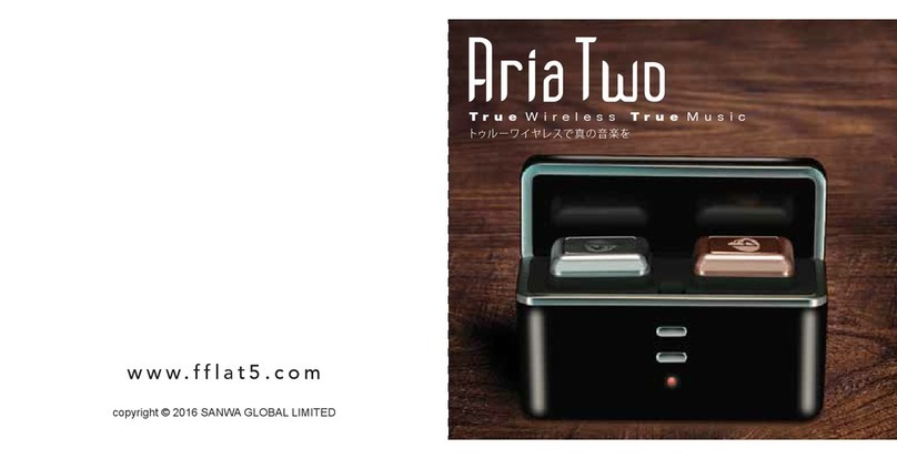 ARIATWO fFLAT5 manual