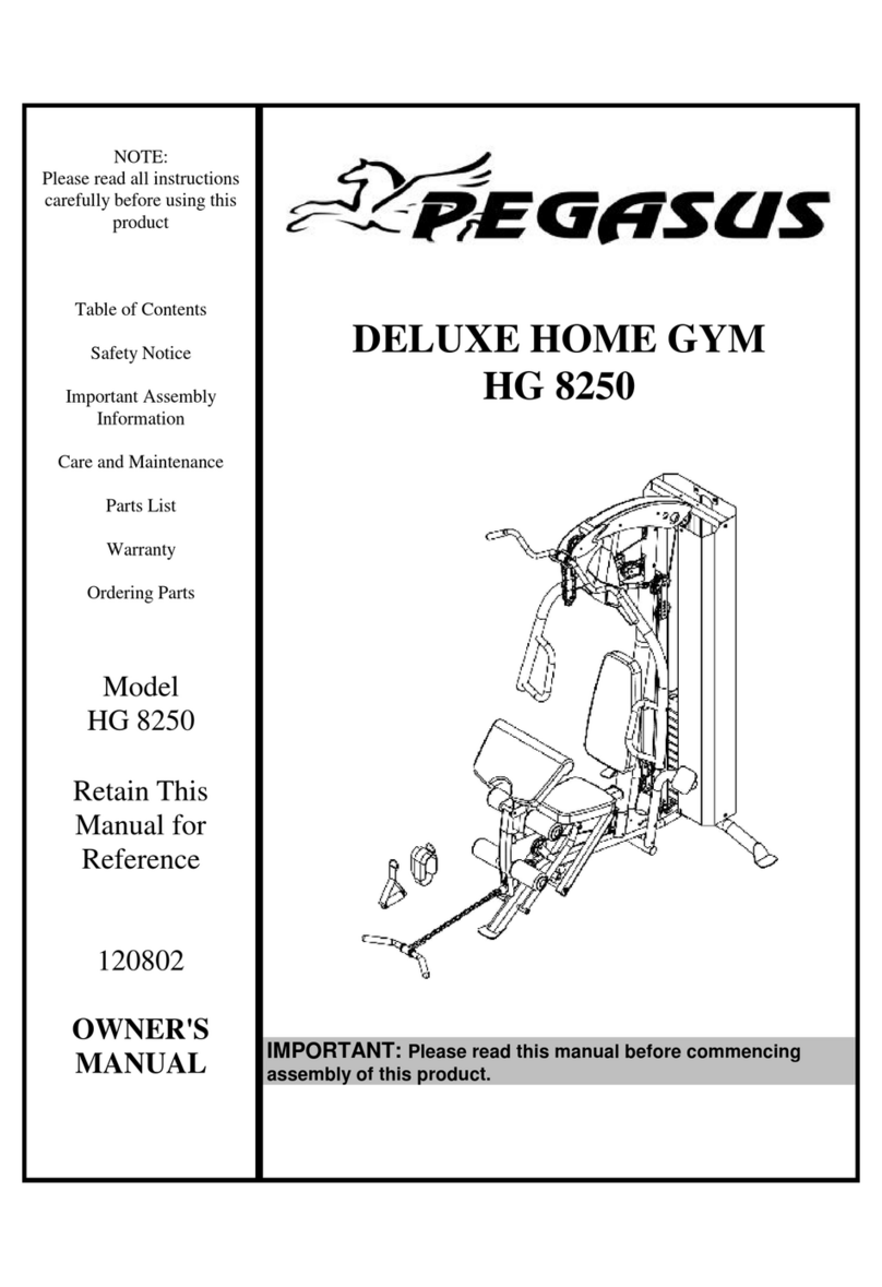 Pegasus HG 8250 owner's manual