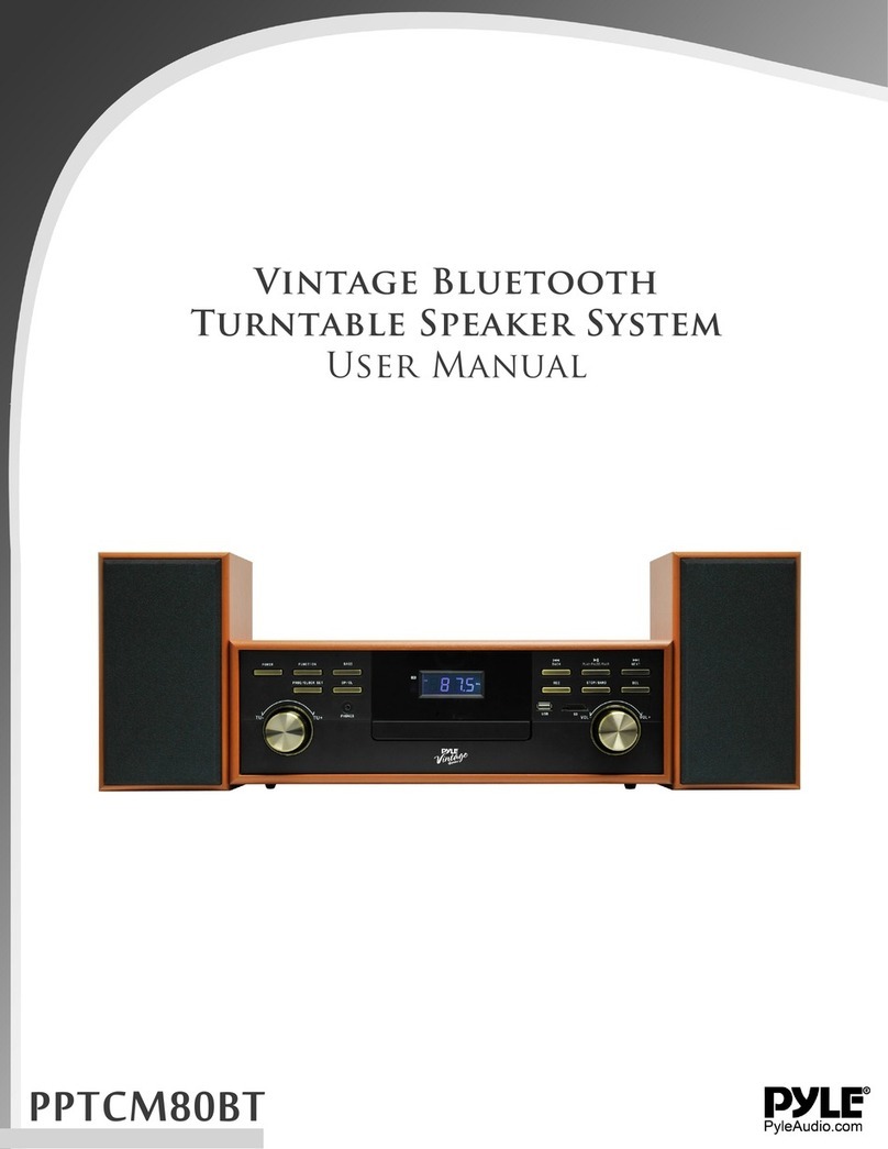 PYLE Audio PPTCM80BT user manual