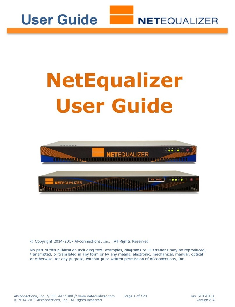 APconnections NETEQUALIZER NE 4000 user guide