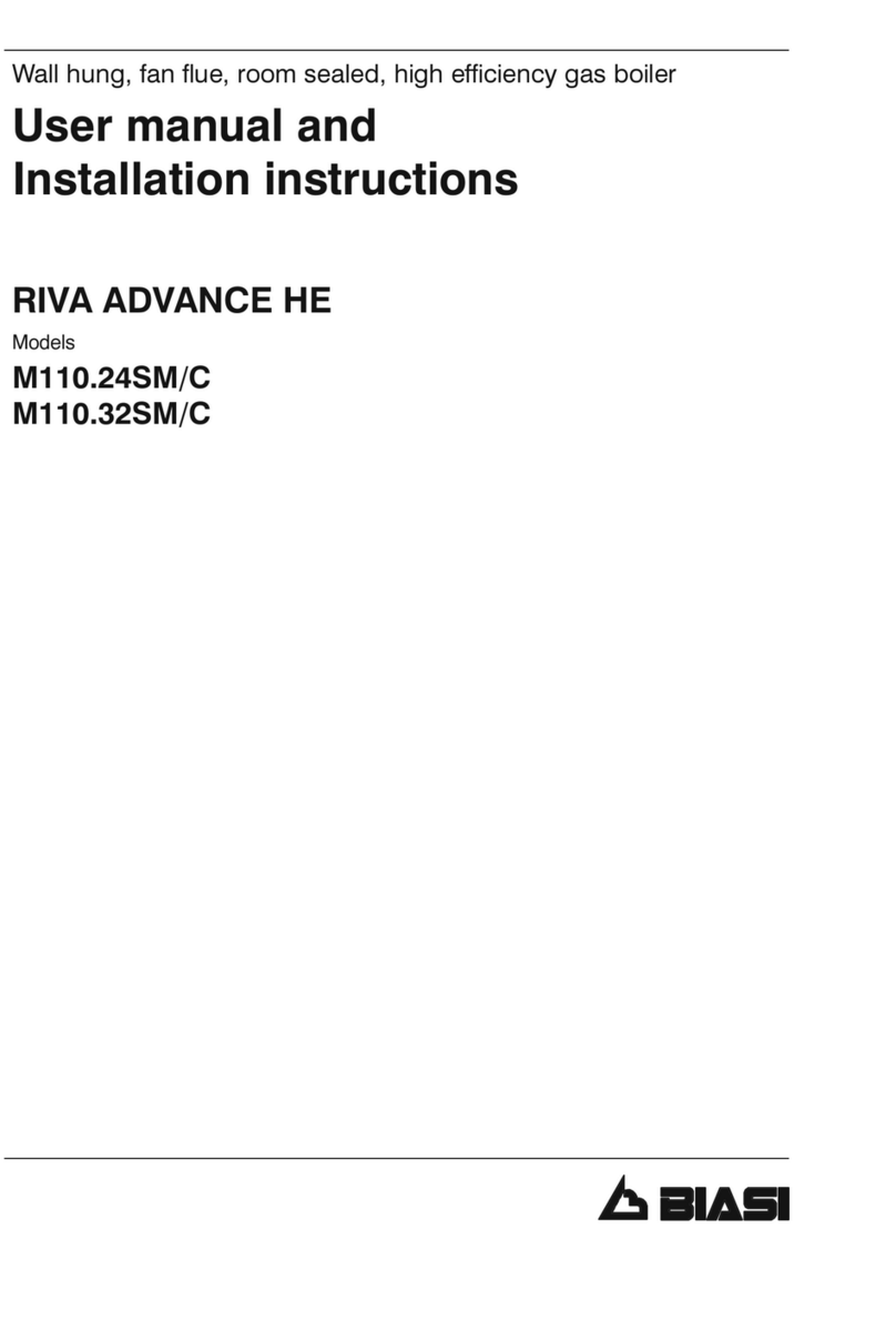 Biasi RIVA ADVANCE HE M110.24SM/C User manual