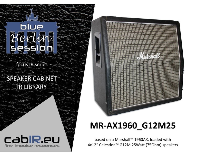 Marshall Amplification MR-AX1960 G12M25 manual