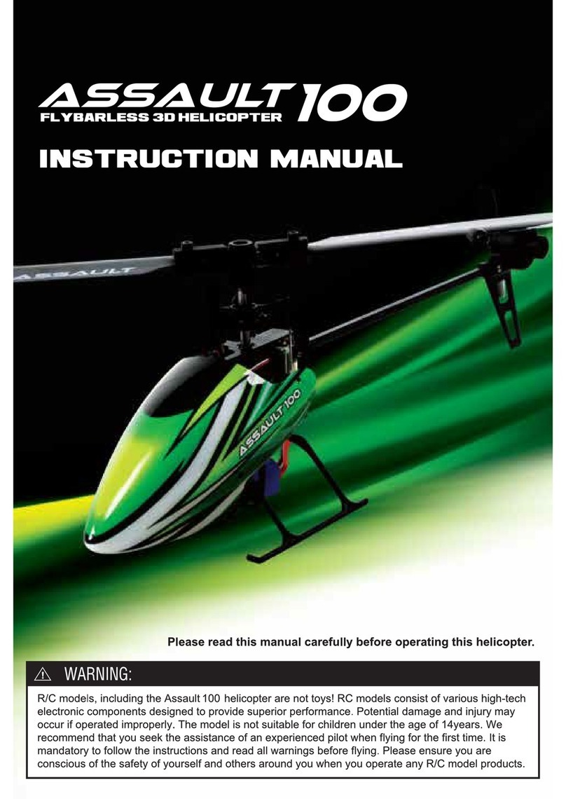 Hobby King Assault 100 User manual