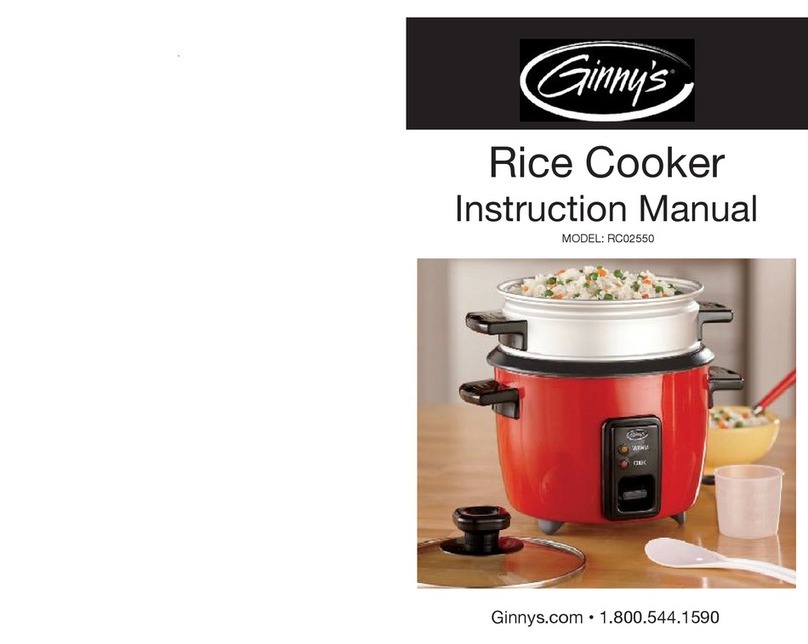 Ginnys RC02550 User manual