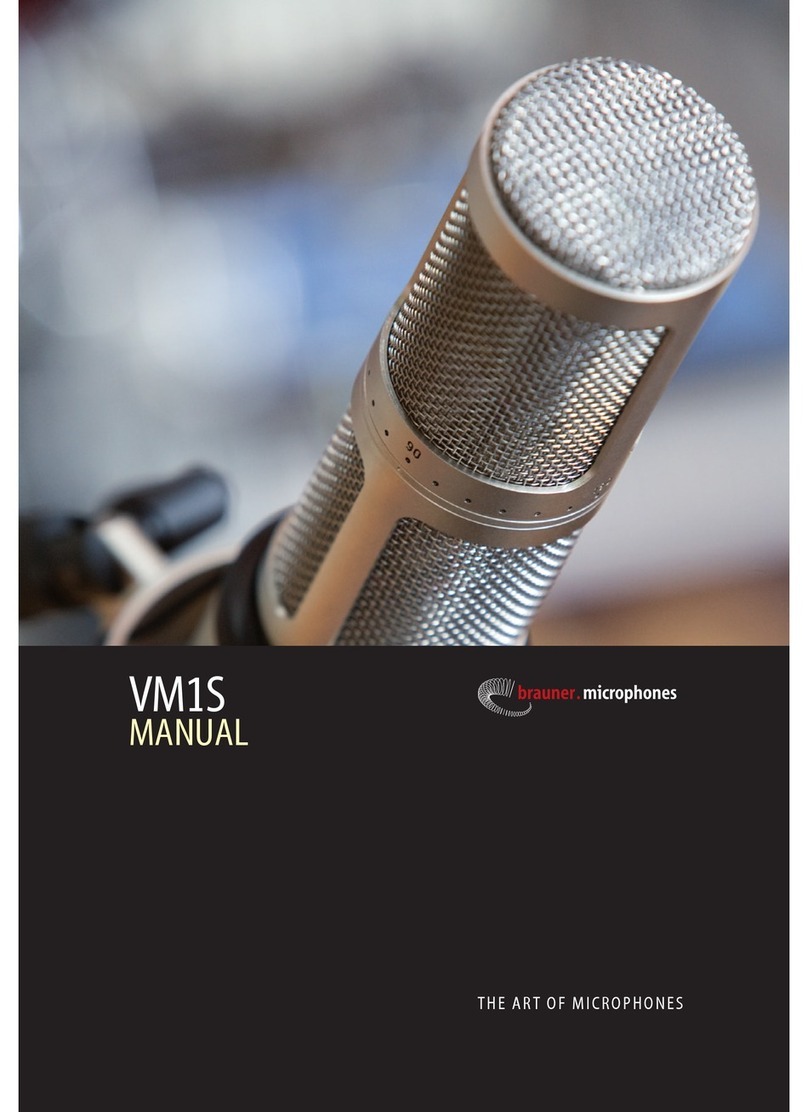 Brauner VM1S manual