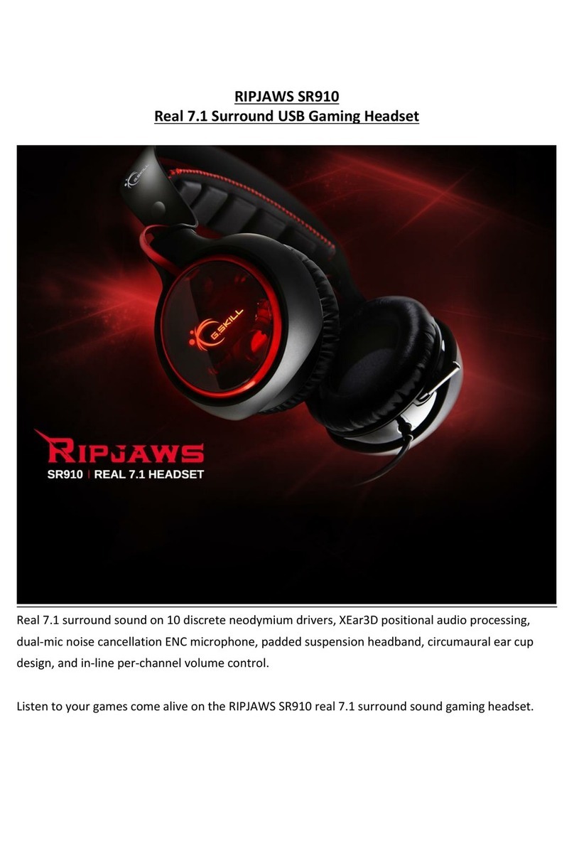 G.SKILL RIPJAWS SR910 User manual