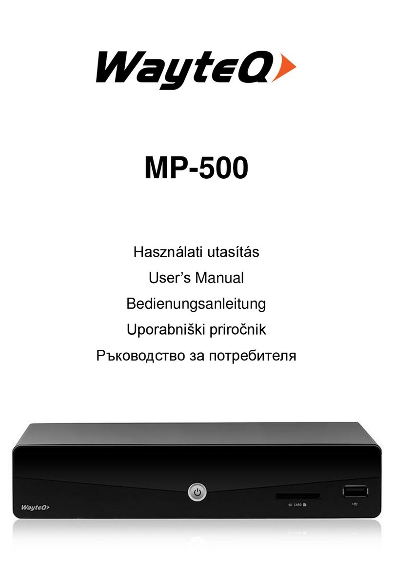 WayteQ MP-500 user manual