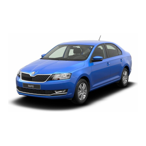 Skoda RAPID 2017 User manual