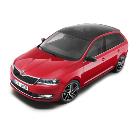Skoda RAPID SPACEBACK 2017 User manual