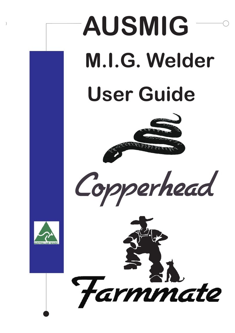 Ausmig D260 user guide