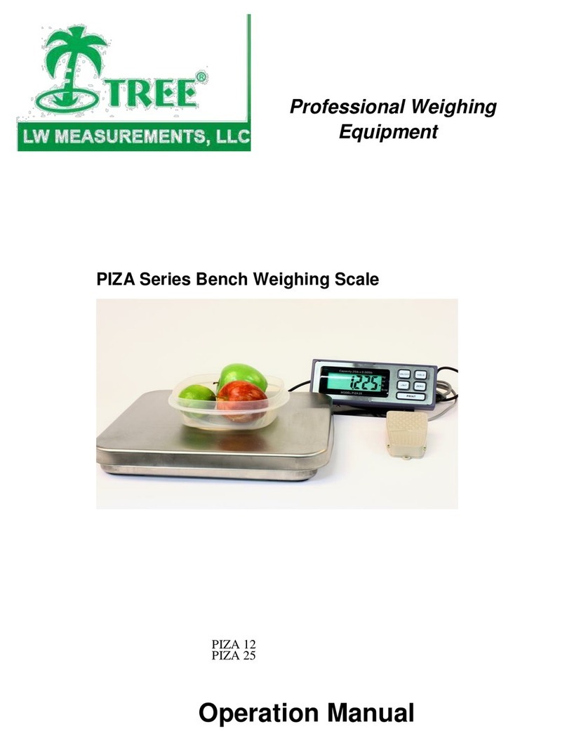 LW MEASUREMENTS PIZA 12 User manual