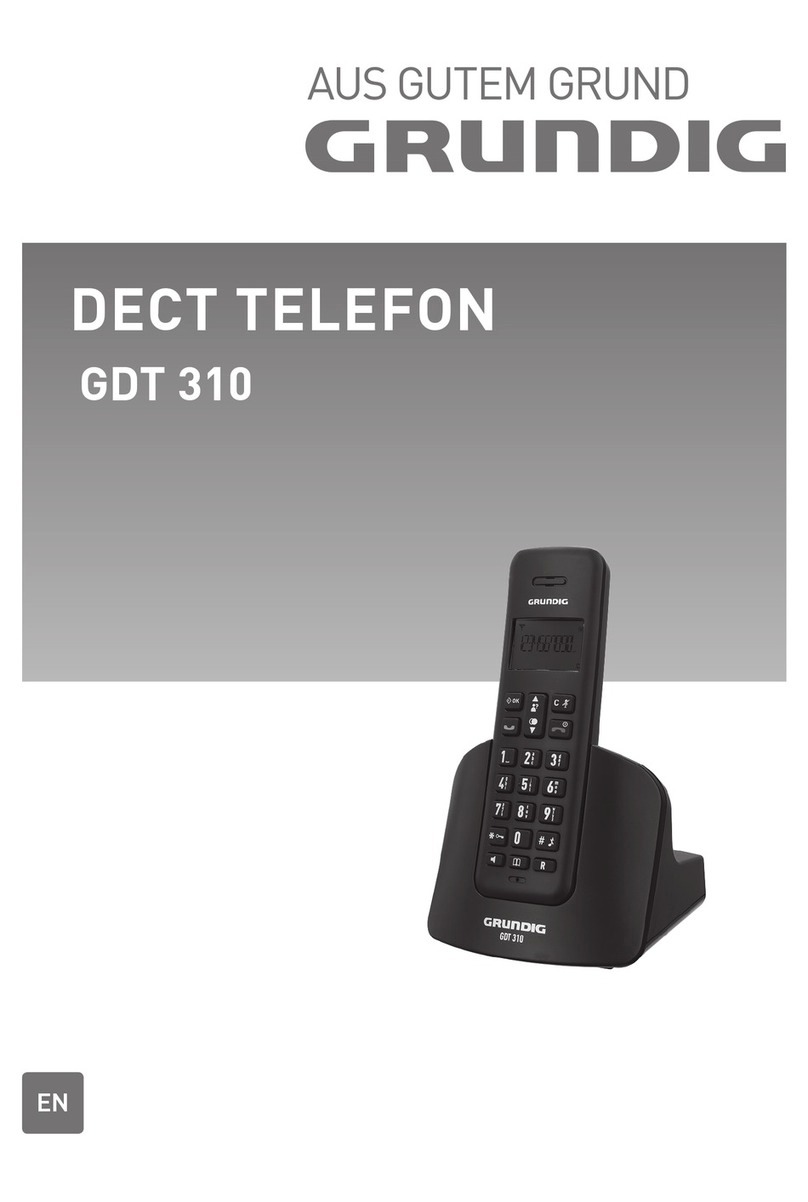 Grundig GDT 310 User manual