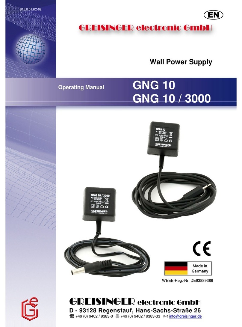 GREISINGER GNG 10 operating manual