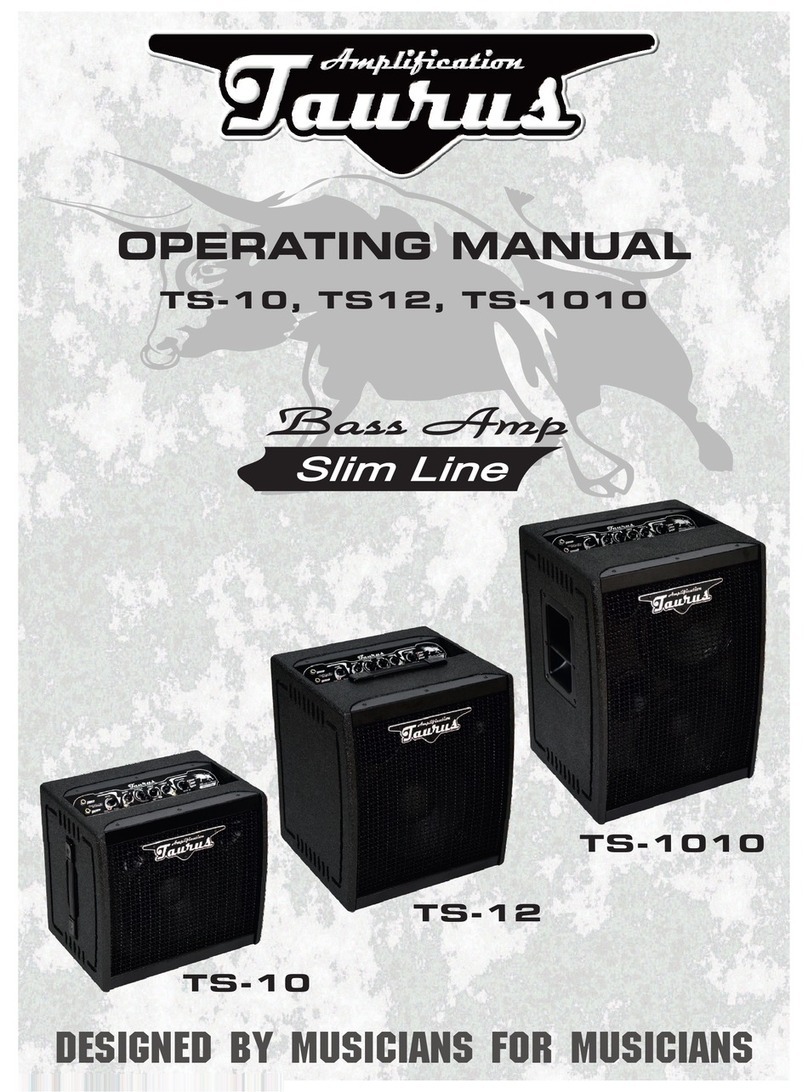 Taurus TS-10 operating manual