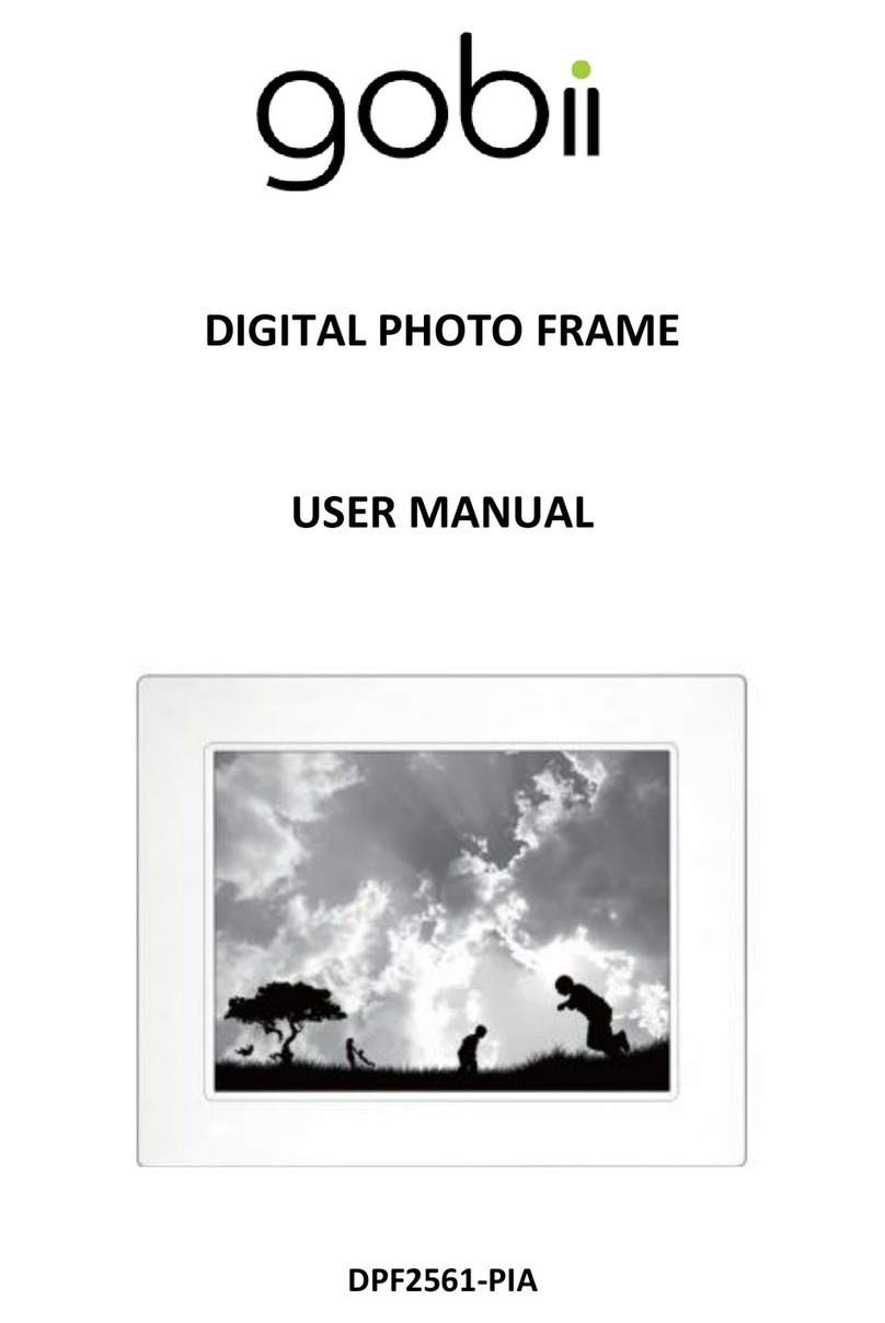gobii DPF2561-PIA user manual