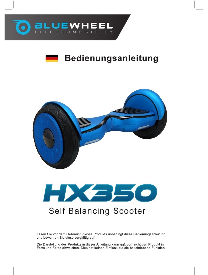 Bluewheel hx350t User manual