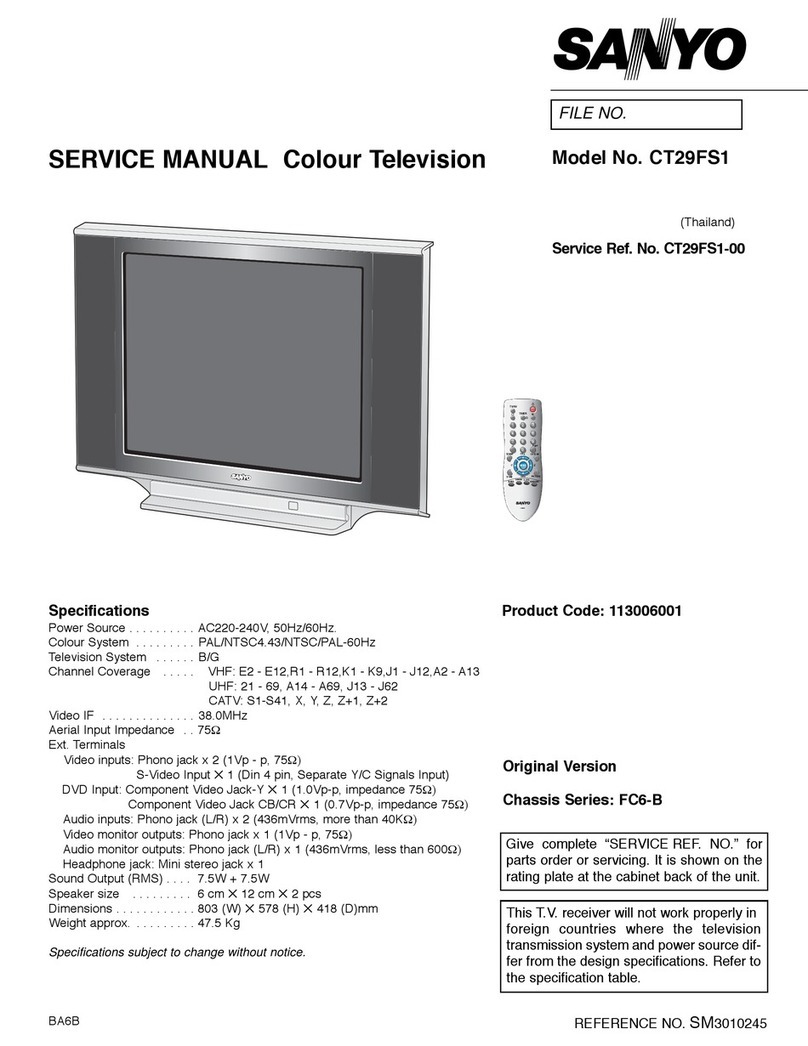 Sanyo CT29FS1 User manual Sanyo CT29FS1 User manual