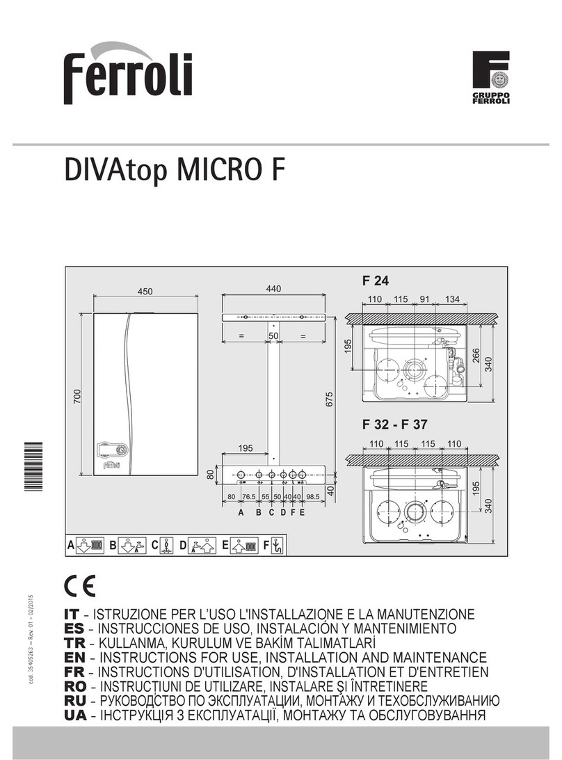 Ferroli DIVAtop MICRO F Troubleshooting guide