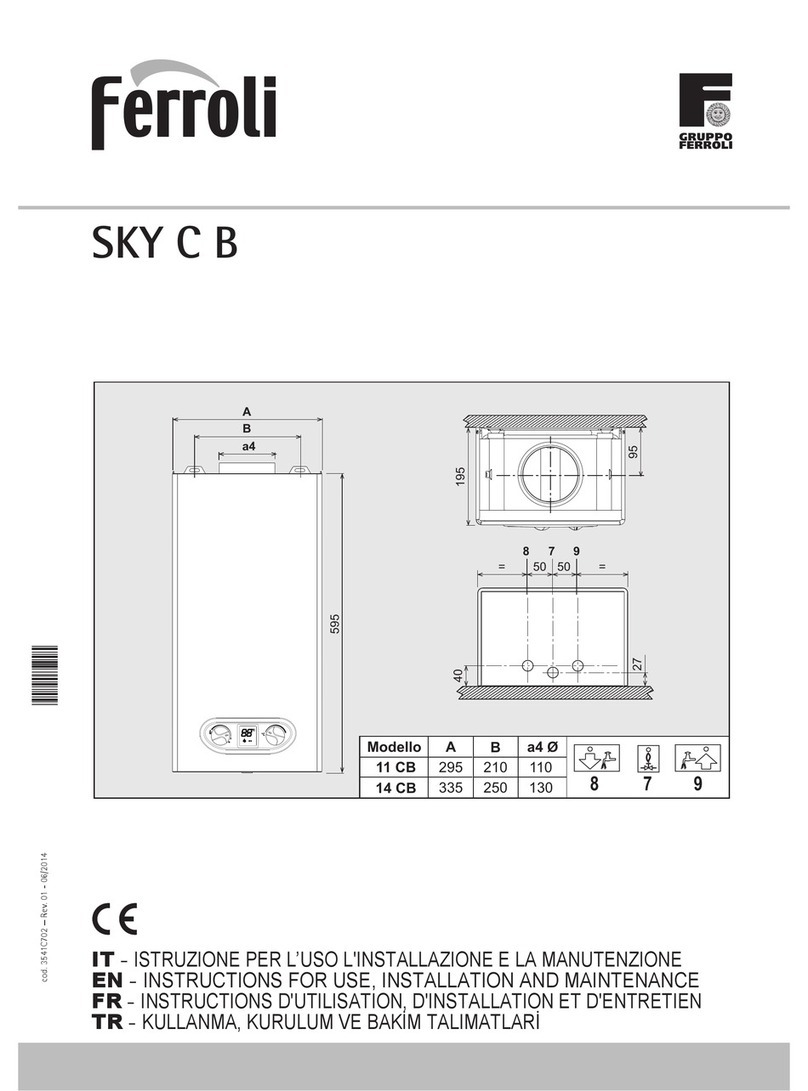 Ferroli SKY C B Troubleshooting guide