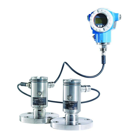 Endress+Hauser Deltabar FMD71 User manual