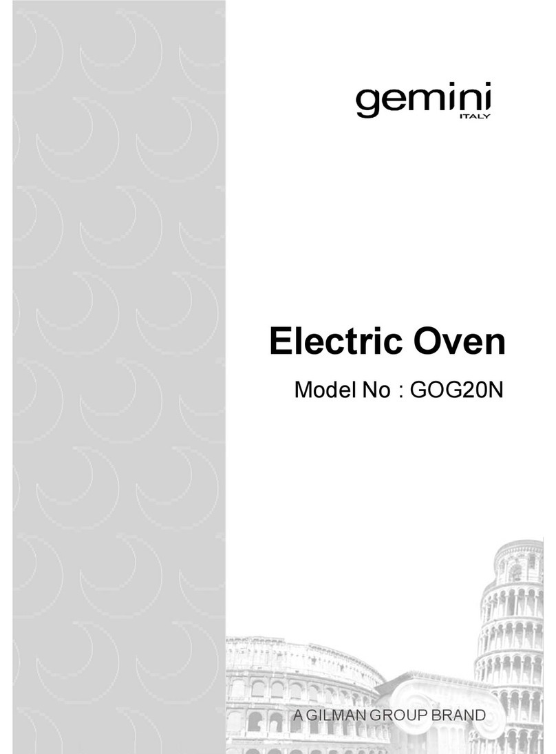 Gemini GOG20N User manual