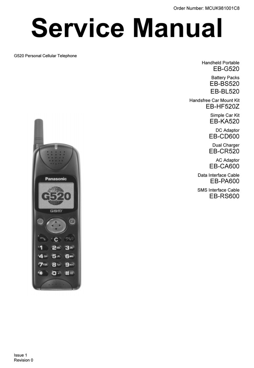 Panasonic G520 User manual