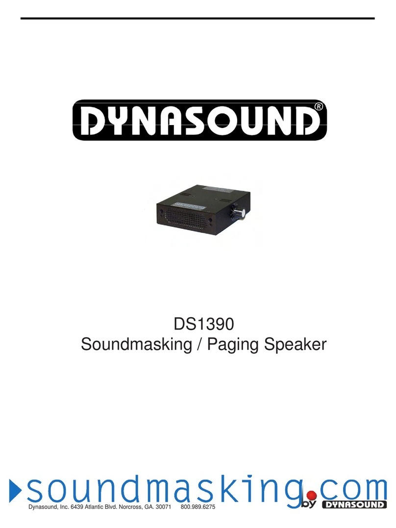Dynasound DS1390 manual