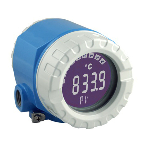 Endress+Hauser iTEMP TMT162 technical information