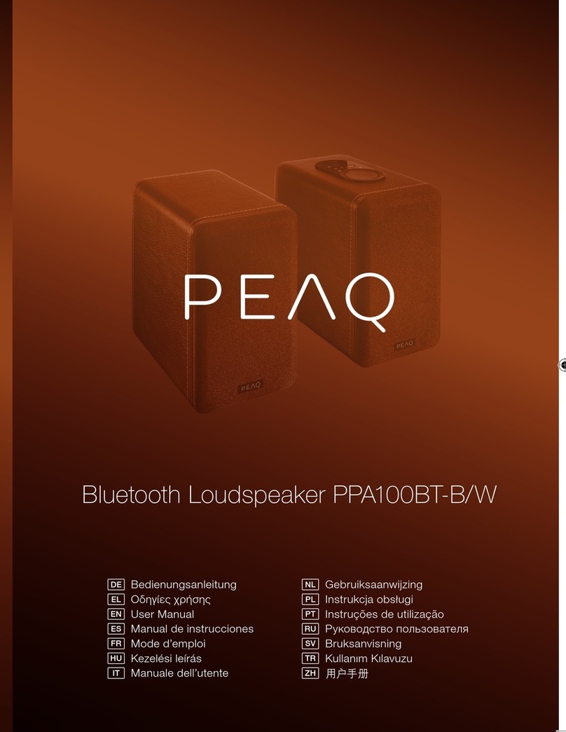 Peaq PPA100BT-B/W user manual