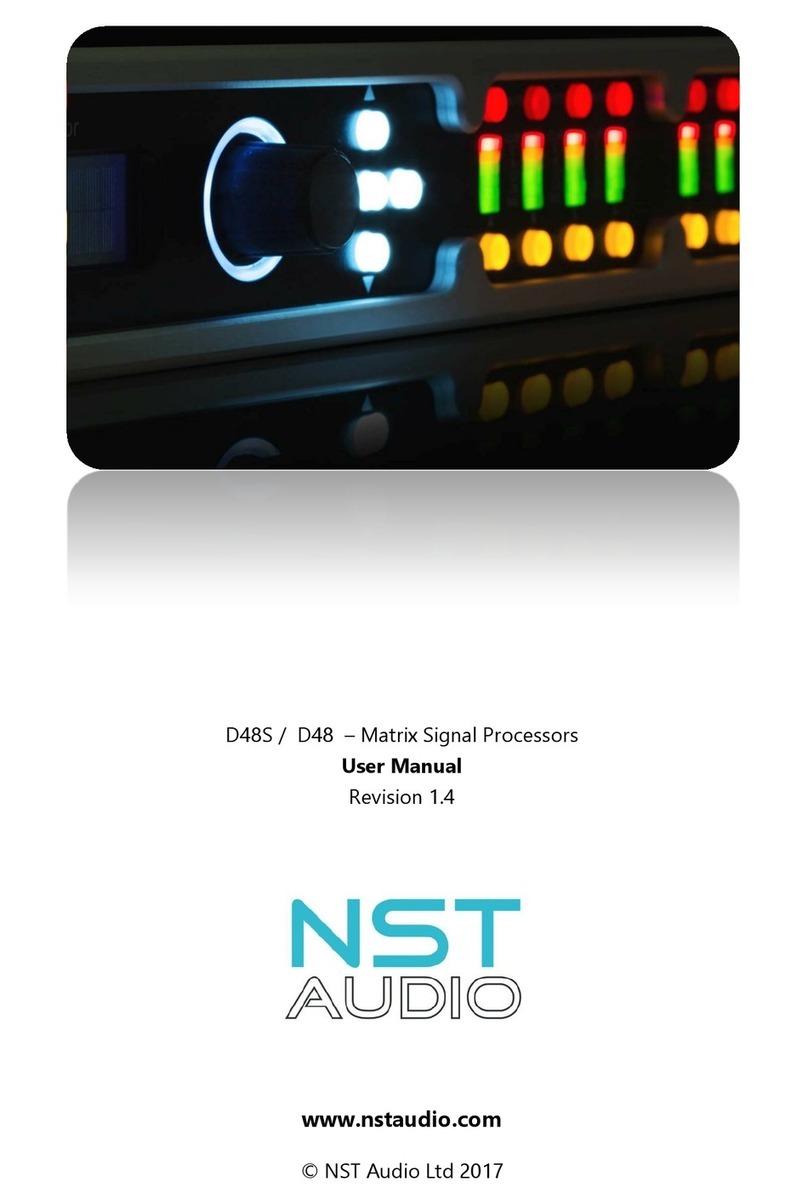 NST Audio D48 user manual