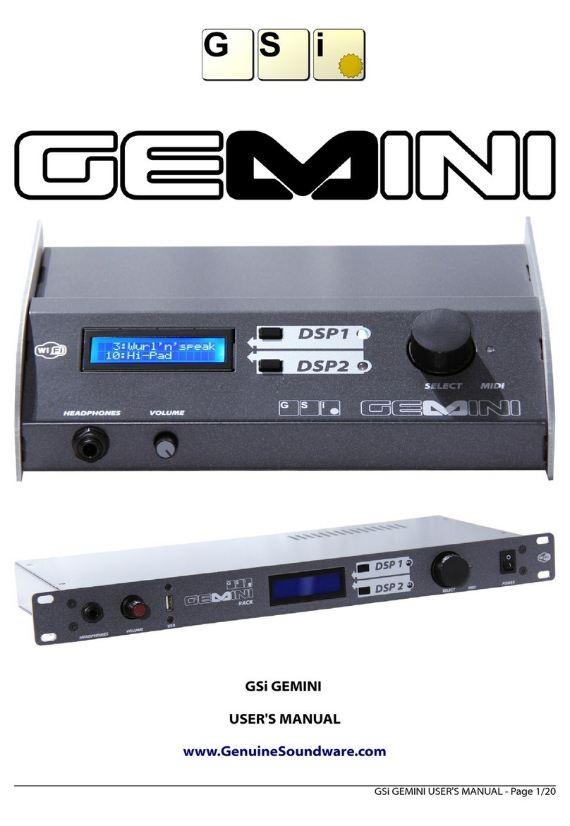 GSi GEMINI Desktop User manual