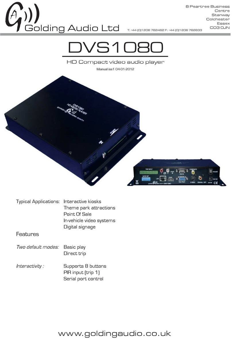 Golding Audio DVS1080 manual