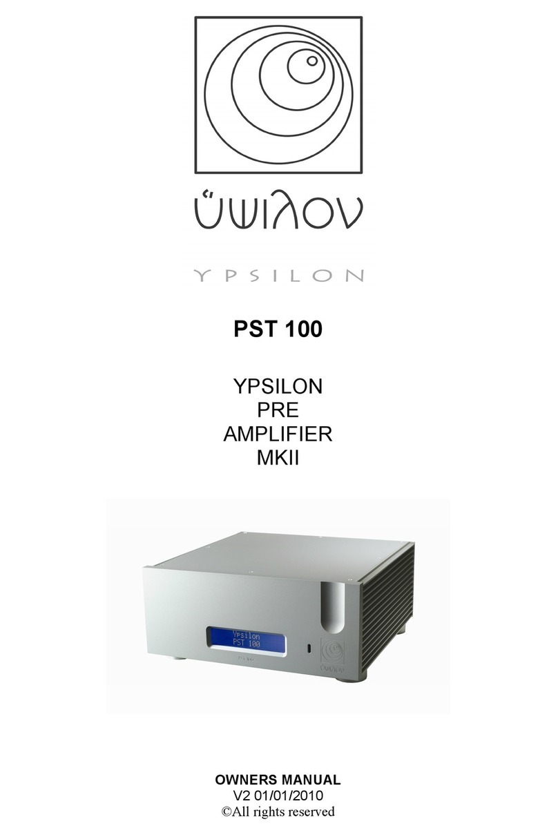 Ypsilon PST 100 MKII User manual