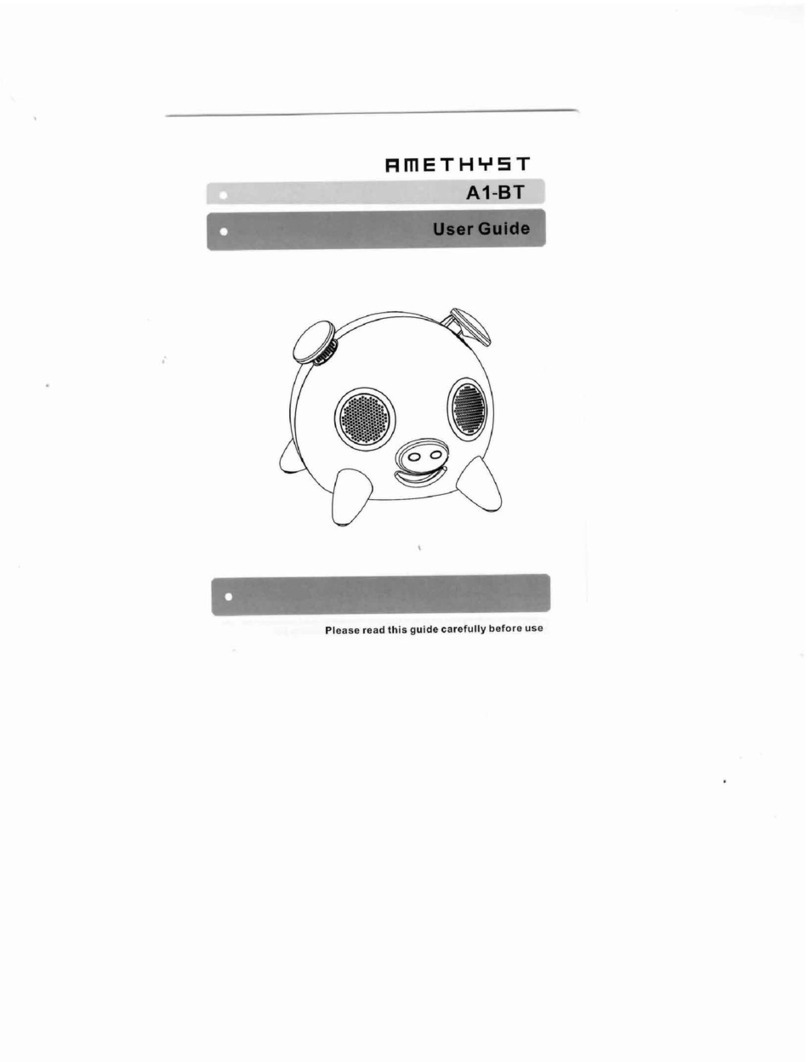 Amethyst A1-BT user guide