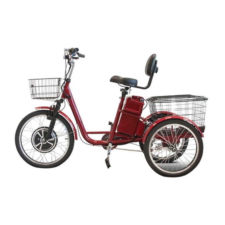 ewheels EW-29 owner's manual