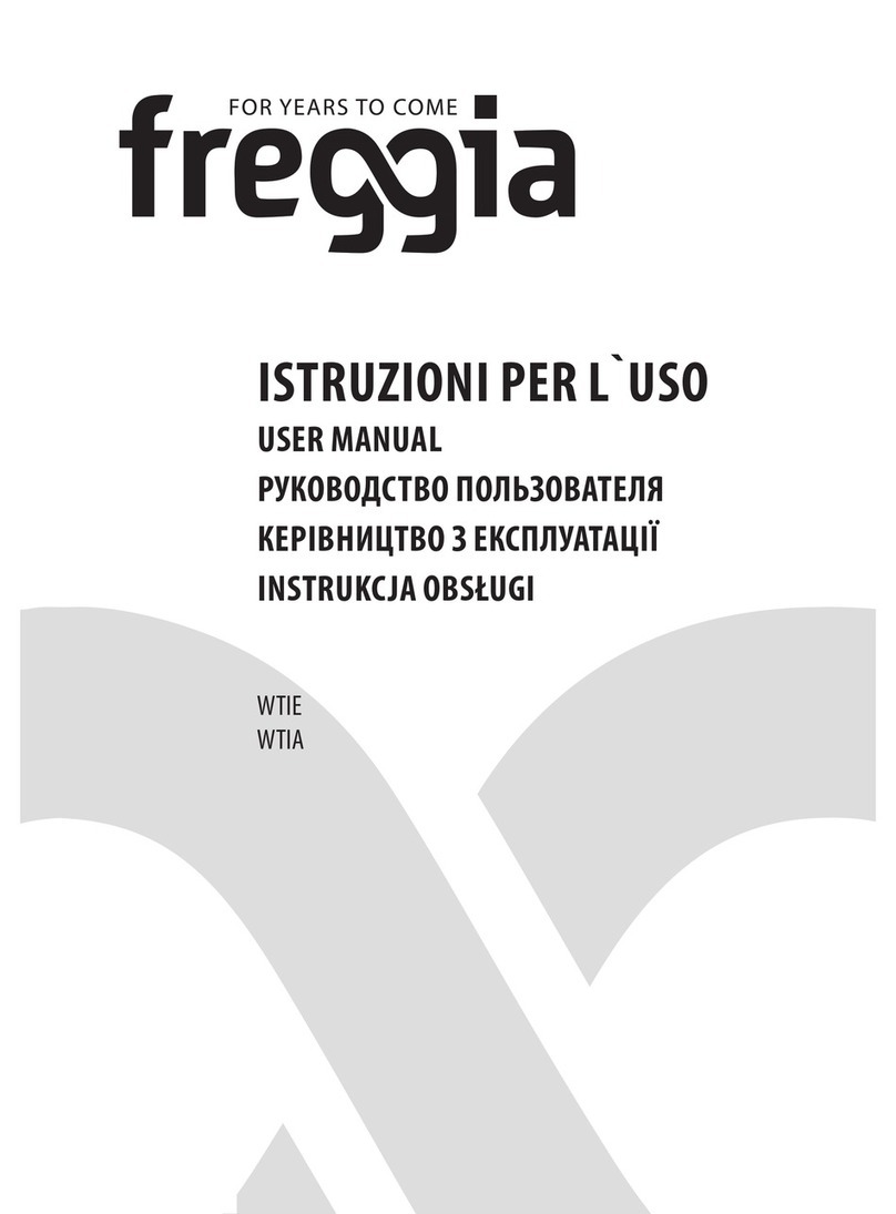 Freggia WTIE user manual