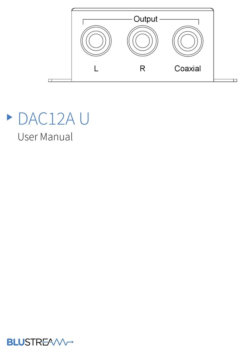 Blu Stream DAC12A U user manual