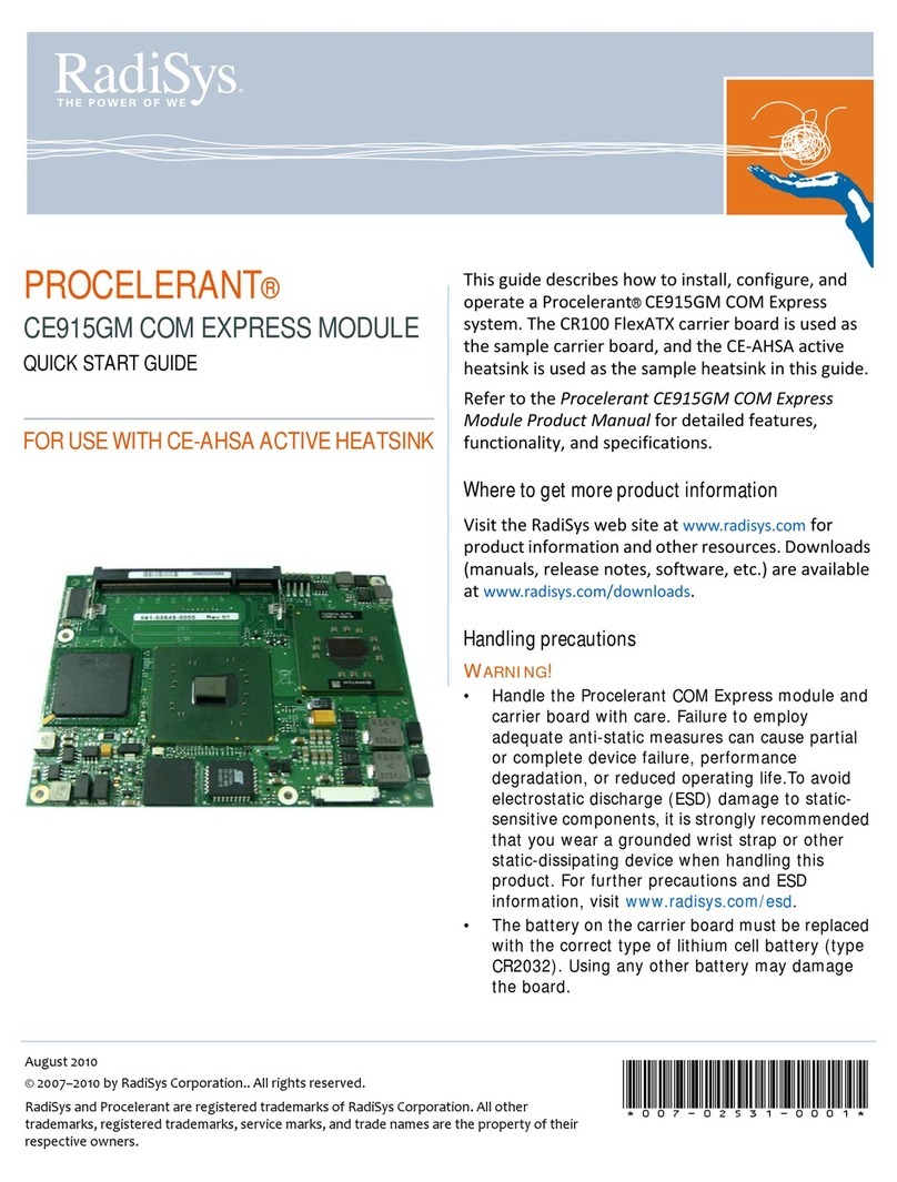 RadiSys CE915GM User manual