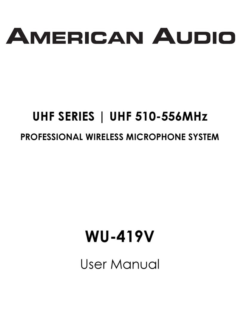 American Audio WU-419V User manual