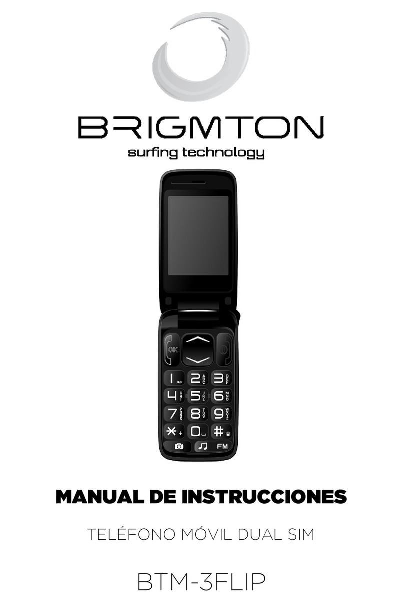 Brigmton BTM-3FLIP User manual