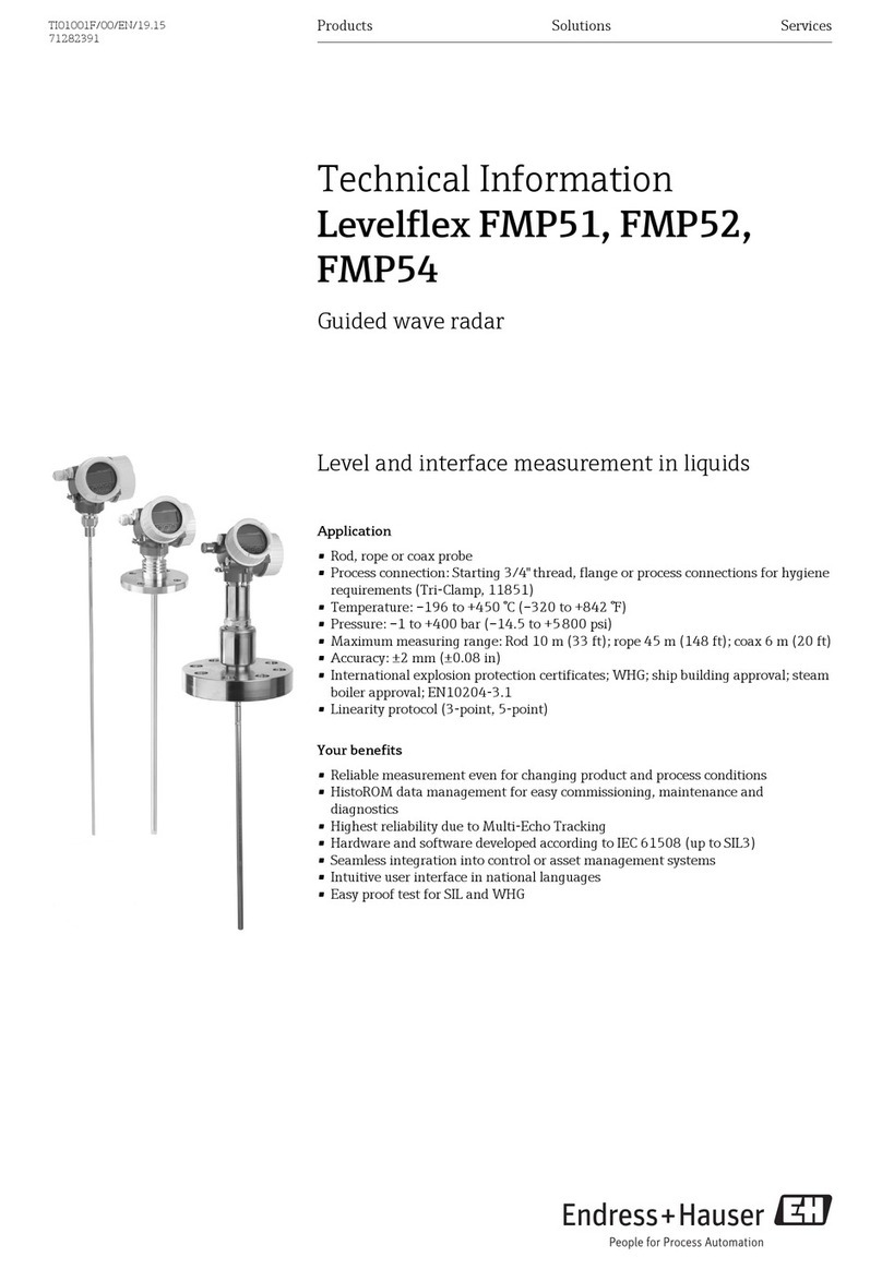 Endress+Hauser Levelflex FMP51 technical information