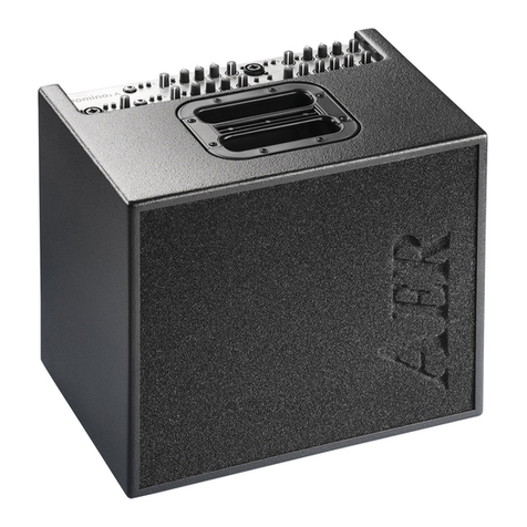 AER Domino 2A user manual