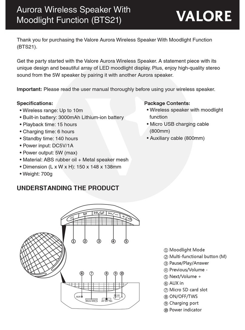 Valore BTS21 manual