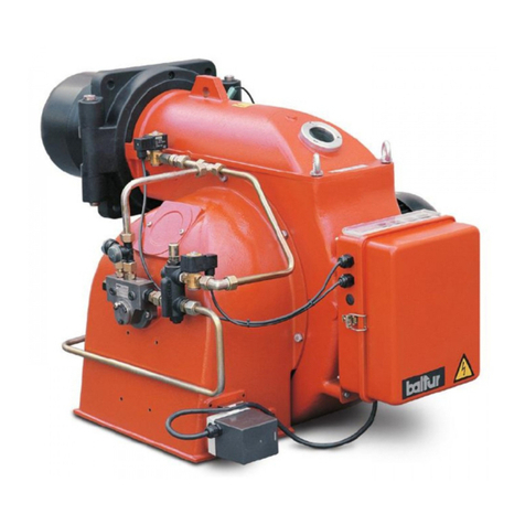 baltur BT 350 DSG User manual
