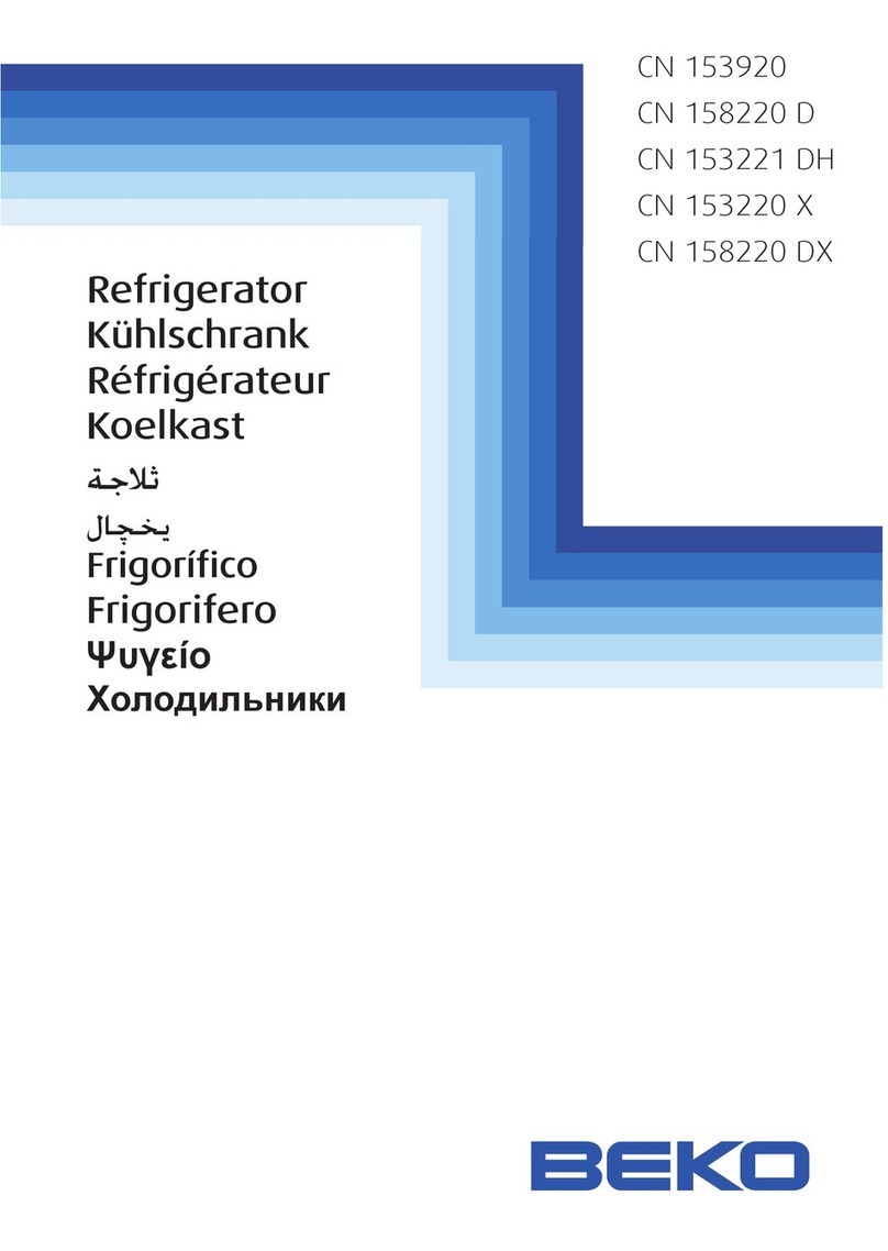 Beko CN153920 User manual