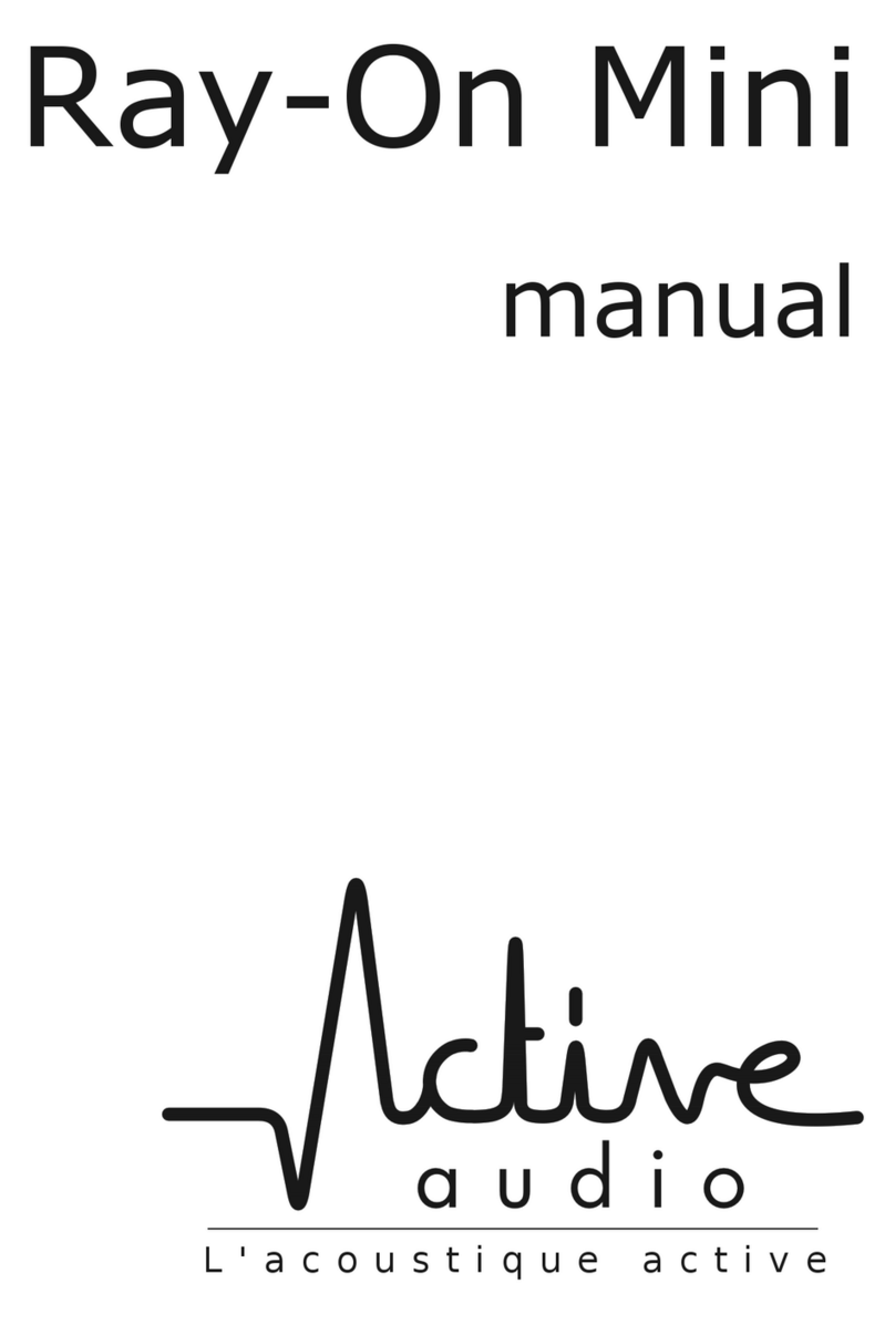 Active Audio Ray-On Mini User manual