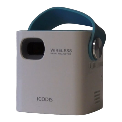 ICODIS CB-100W user guide